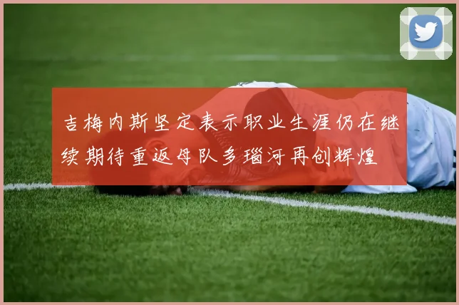 吉梅内斯坚定表示职业生涯仍在继续期待重返母队多瑙河再创辉煌